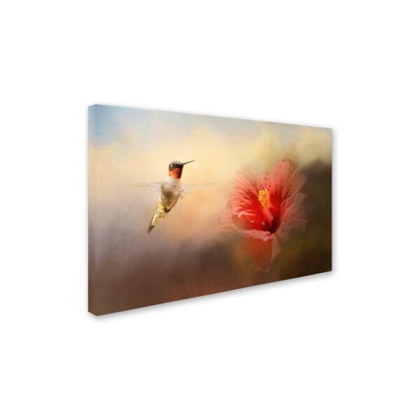 Jai Johnson 'Romancing The Hibiscus' Canvas Art,30x47